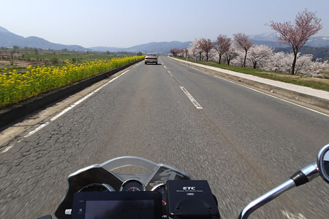a0083760_6261649.jpg