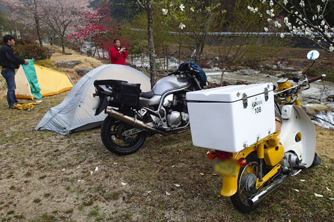 a0083760_6453226.jpg