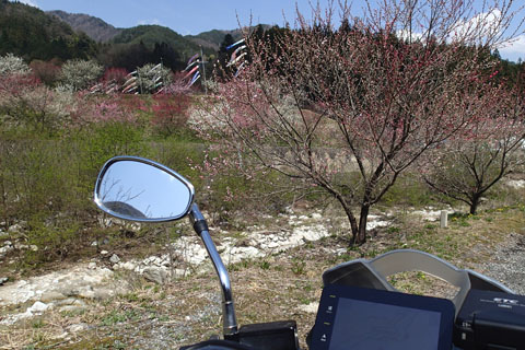 a0083760_9271054.jpg