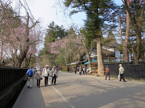 【北東北桜追い旅⑥】角館の枝垂れ桜と稲庭うどん_c0042960_1633792.jpg