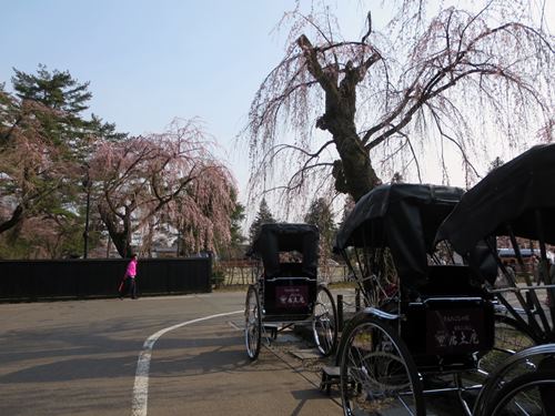 【北東北桜追い旅⑦】角館の武家屋敷(青柳家)_c0042960_16365128.jpg