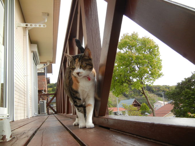 ’14,4,28(月)お寝坊な愛ちゃん!_f0060461_10151047.jpg