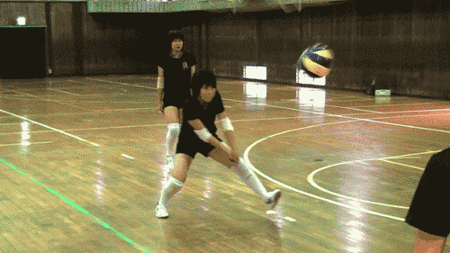 各務野_c0000970_13420039.gif