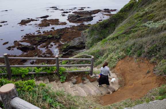 モイと城ヶ島公園_d0228072_00185886.jpg