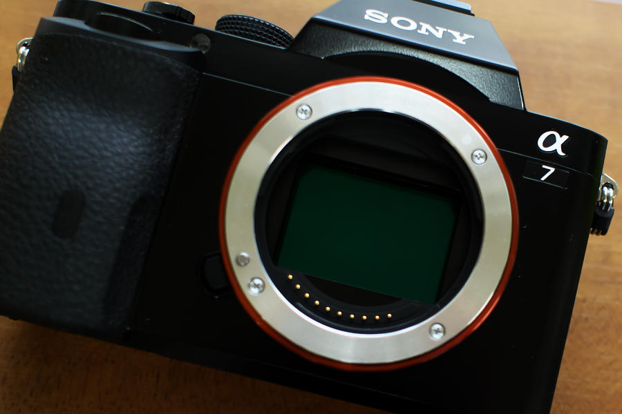 SONY α7_e0282173_23192181.jpg