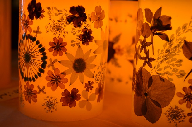 ”ふしぎな花倶楽部” 押し花展_d0230676_16185541.jpg