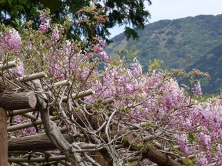 2014年4月28日 KURA(蔵)できました_b0098584_2136326.jpg