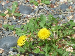 2014年4月28日 KURA(蔵)できました_b0098584_21365520.jpg