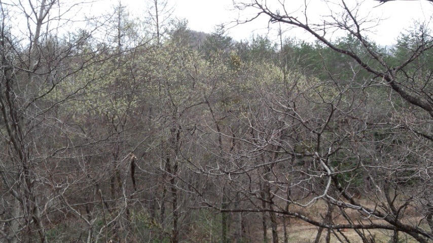 a0130586_91504.jpg