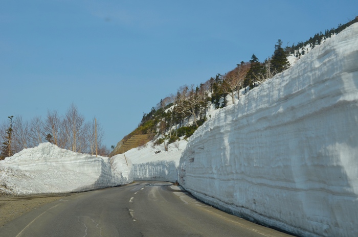 first tour_d0077992_1433423.jpg