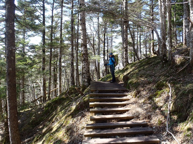 c0147398_16285234.jpg