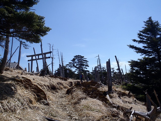 c0147398_16403139.jpg