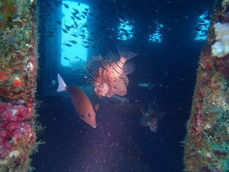 e0115199_17125309.jpg