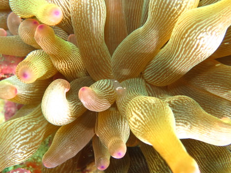 e0115199_17215193.jpg