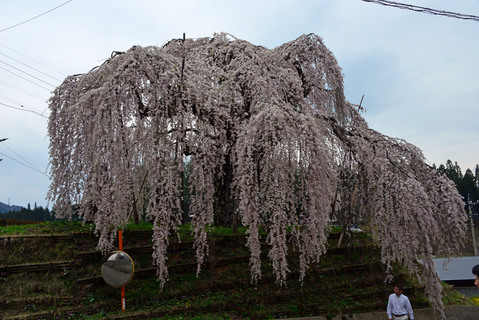 e0087201_2201190.jpg