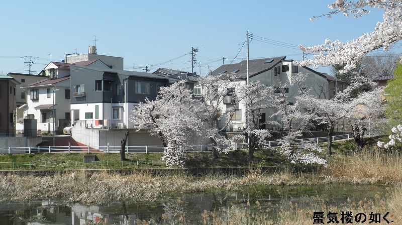 「未確認で進行形」舞台探訪００８郡山市桜の酒蓋公園へ（H26.04.14探訪）_e0304702_15199.jpg