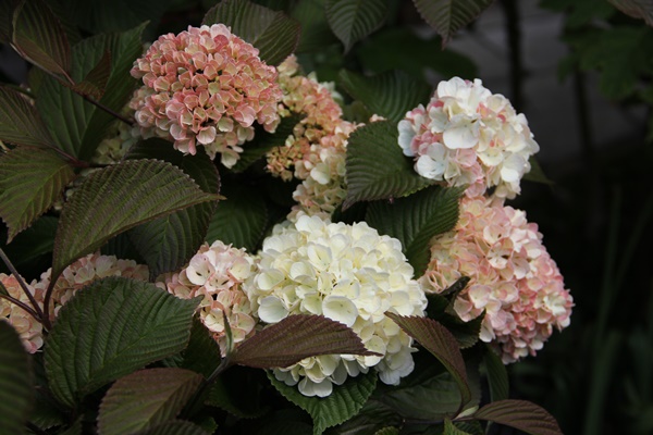 a0123003_9382320.jpg