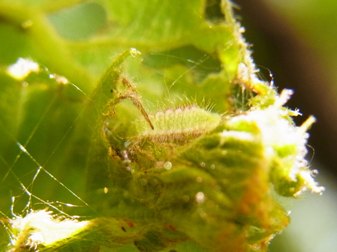 d0251807_5552359.jpg