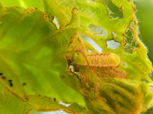 d0251807_5553453.jpg