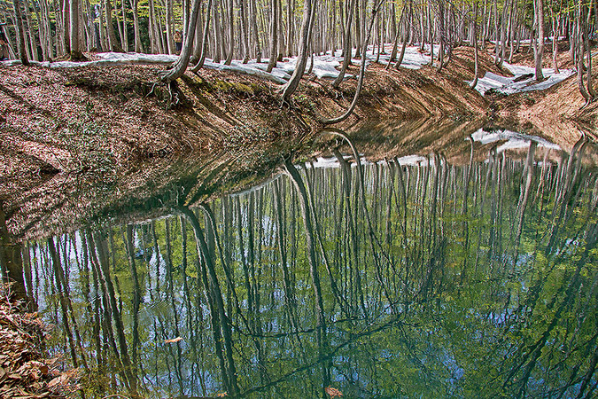 b0010915_0324729.jpg