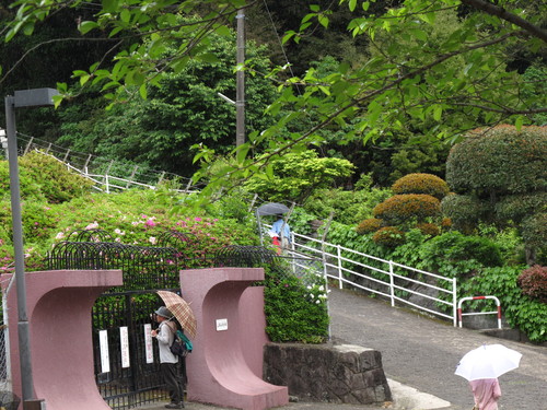 小雨の下の立田山散策_d0109916_14431597.jpg