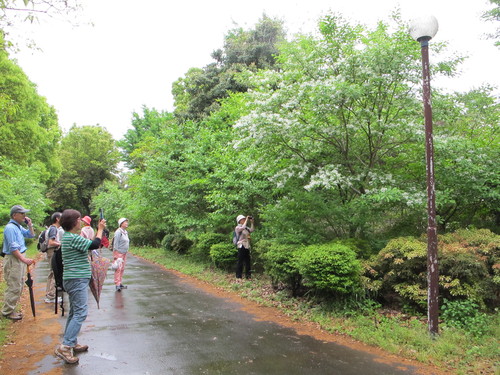 小雨の下の立田山散策_d0109916_1447161.jpg