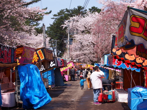 芦野公園桜*2014.04.28（五所川原市）_b0147224_2154928.jpg