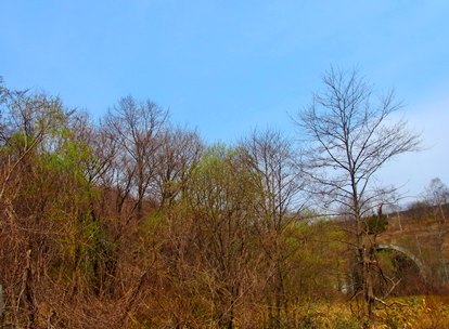 c0204725_10263966.jpg
