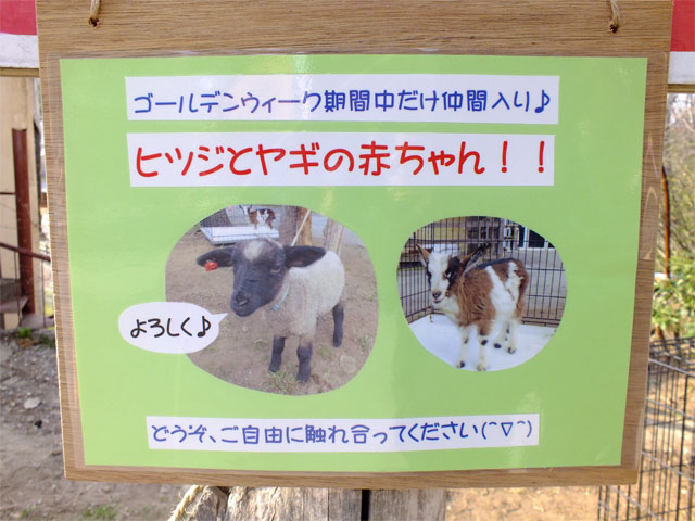 特別サービス_a0179837_17342041.jpg