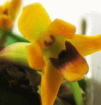 e0255638_925398.gif