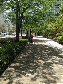 a0037043_00263796.jpg
