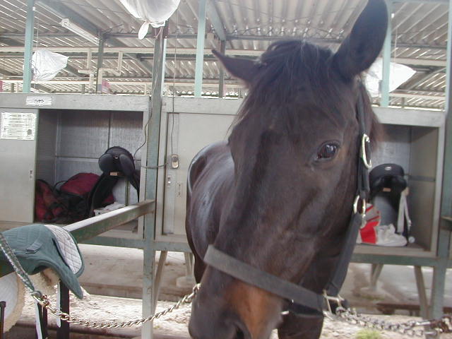 a0305943_16591164.jpg