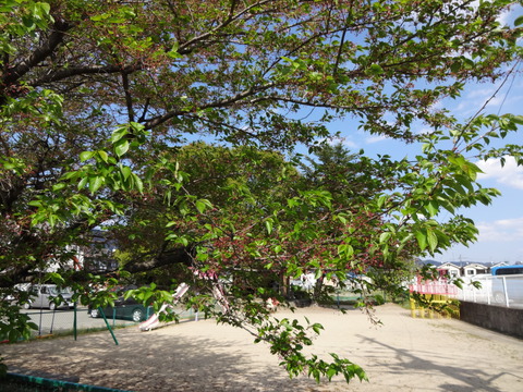 c0264343_15298.jpg