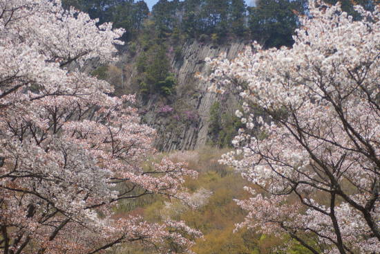 桜の門より屏風岩を望む *_c0303246_00070001.jpg