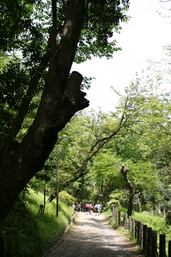 a0167750_09462718.jpg