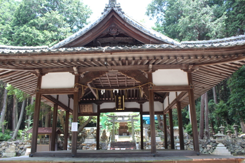 野洲市南桜　野蔵神社_c0299655_15200510.jpg