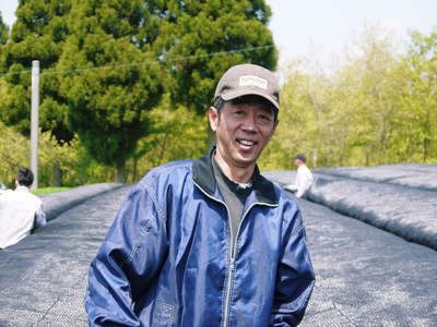 菊池水源茶 新芽の芽吹きと寒冷紗かけ!まもなくお茶摘みです!!_a0254656_17514075.jpg