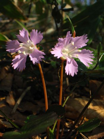 c0294658_21281113.jpg