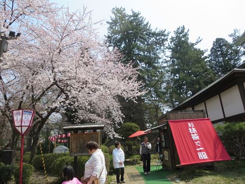 【北東北桜追い旅⑬】弘前城のさくらまつり_c0042960_18445420.jpg