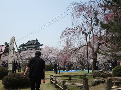 【北東北桜追い旅⑬】弘前城のさくらまつり_c0042960_1845171.jpg