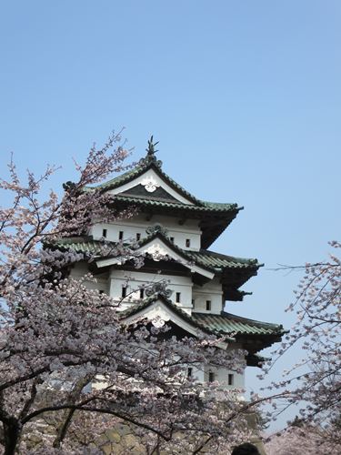 【北東北桜追い旅⑬】弘前城のさくらまつり_c0042960_18452148.jpg