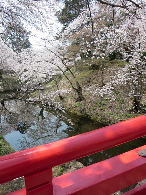 【北東北桜追い旅⑬】弘前城のさくらまつり_c0042960_1845975.jpg