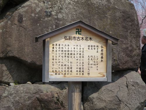 【北東北桜追い旅⑬】弘前城のさくらまつり_c0042960_1846247.jpg