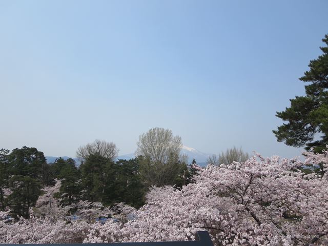 【北東北桜追い旅⑬】弘前城のさくらまつり_c0042960_18475315.jpg