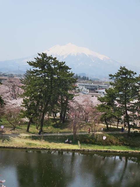 【北東北桜追い旅⑬】弘前城のさくらまつり_c0042960_18481426.jpg