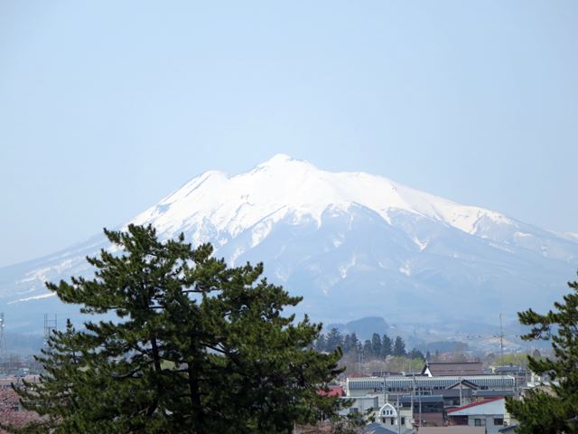 【北東北桜追い旅⑬】弘前城のさくらまつり_c0042960_18482476.jpg