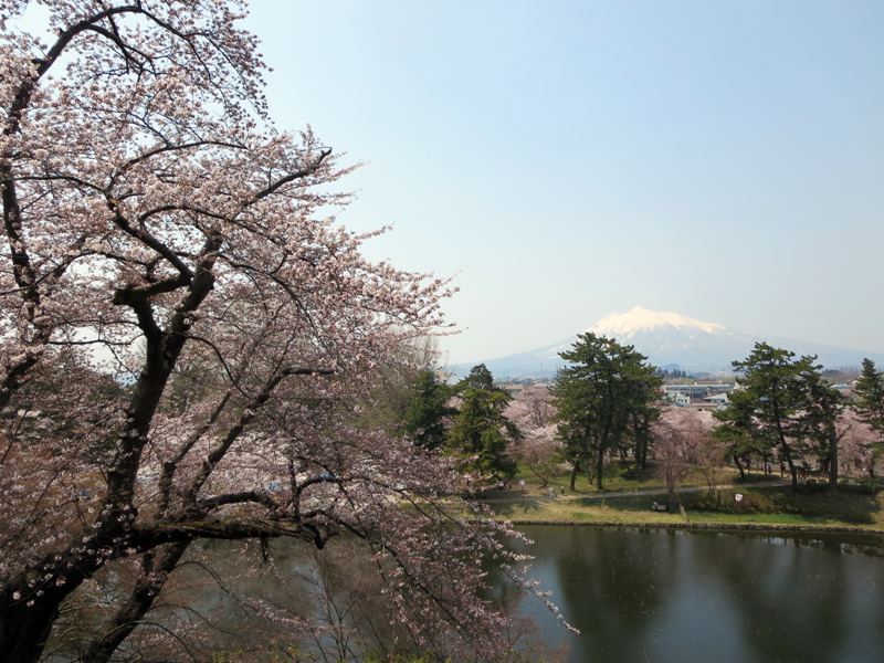 【北東北桜追い旅⑬】弘前城のさくらまつり_c0042960_18483624.jpg