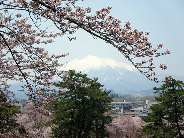 【北東北桜追い旅⑬】弘前城のさくらまつり_c0042960_184845.jpg