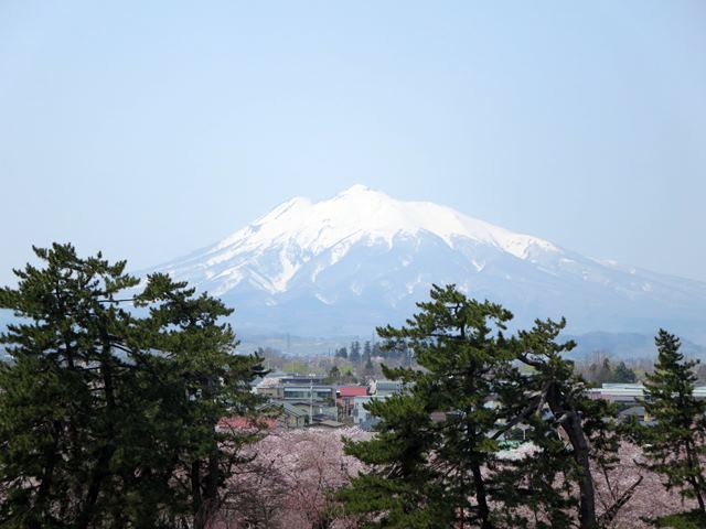 【北東北桜追い旅⑬】弘前城のさくらまつり_c0042960_18484591.jpg