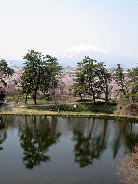 【北東北桜追い旅⑬】弘前城のさくらまつり_c0042960_1849183.jpg